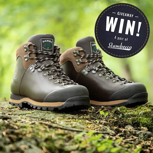 Stambecco Competition!