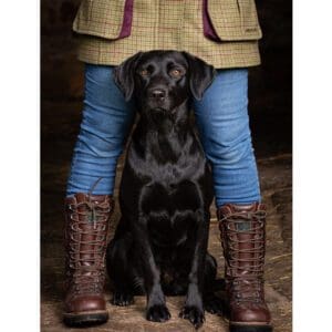 Buy boots voucher online hot sale