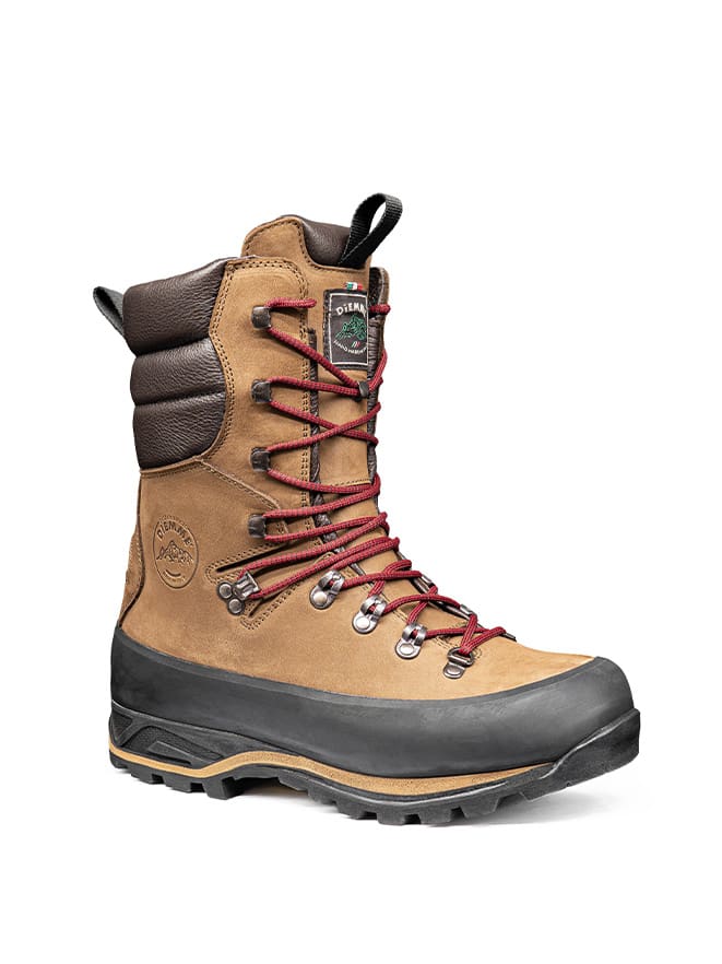 3. Tasso UK 9